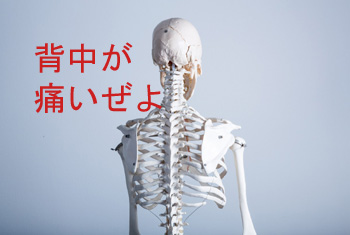 背中が痛い