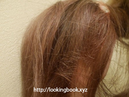 【写真付き！】実際にカラーバターを使ってラベンダーヘアーに変身！